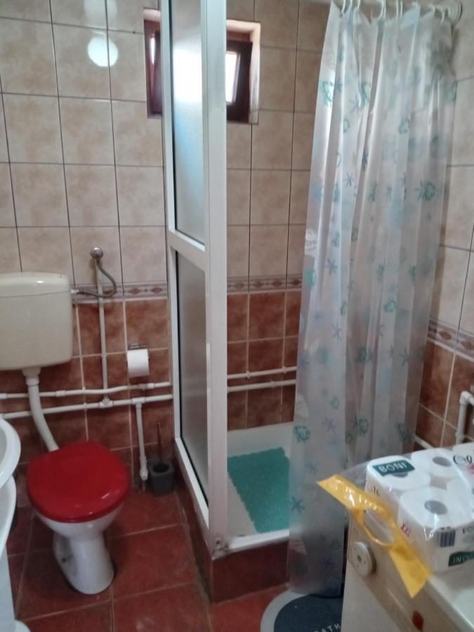 Planinska Kuca Dusan Митровац Экстерьер фото